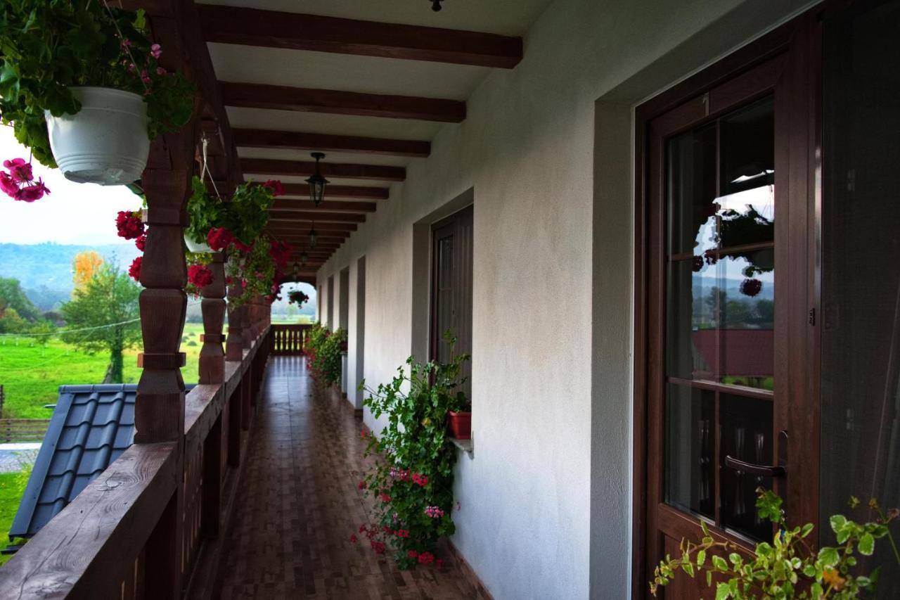 Conacul Cosaului Hotel Feresti Exterior photo